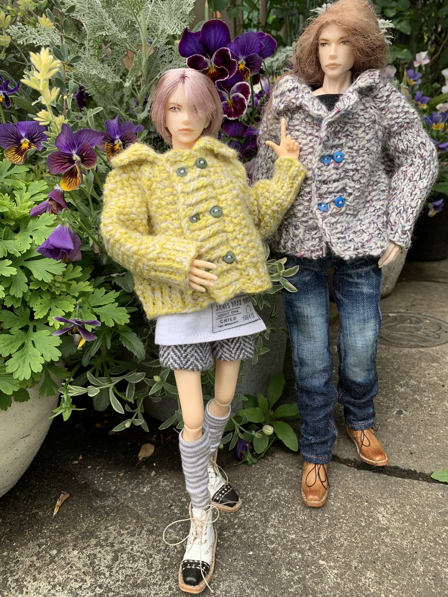 冬薔薇の庭 tweet media