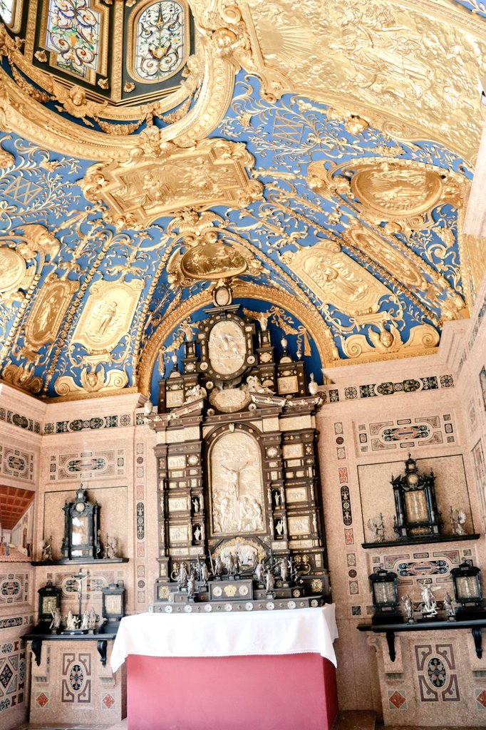 ちゃりネコ tweet media