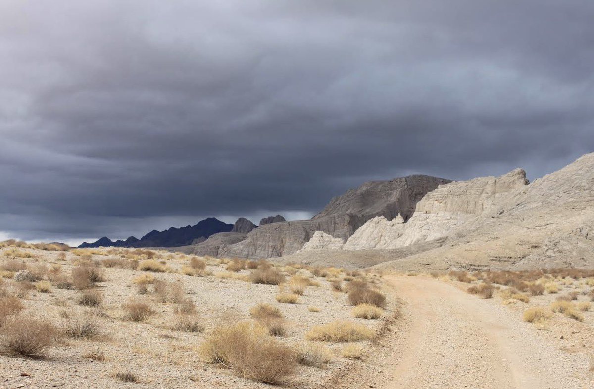 The Last Farm tweet media