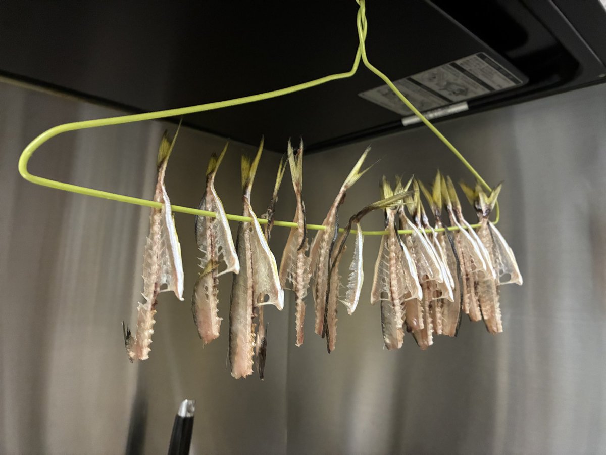 カモっちゃ(´ω`*) tweet media