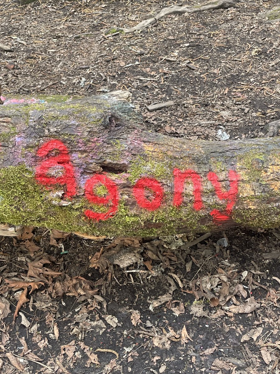 Dolly Carton tweet media