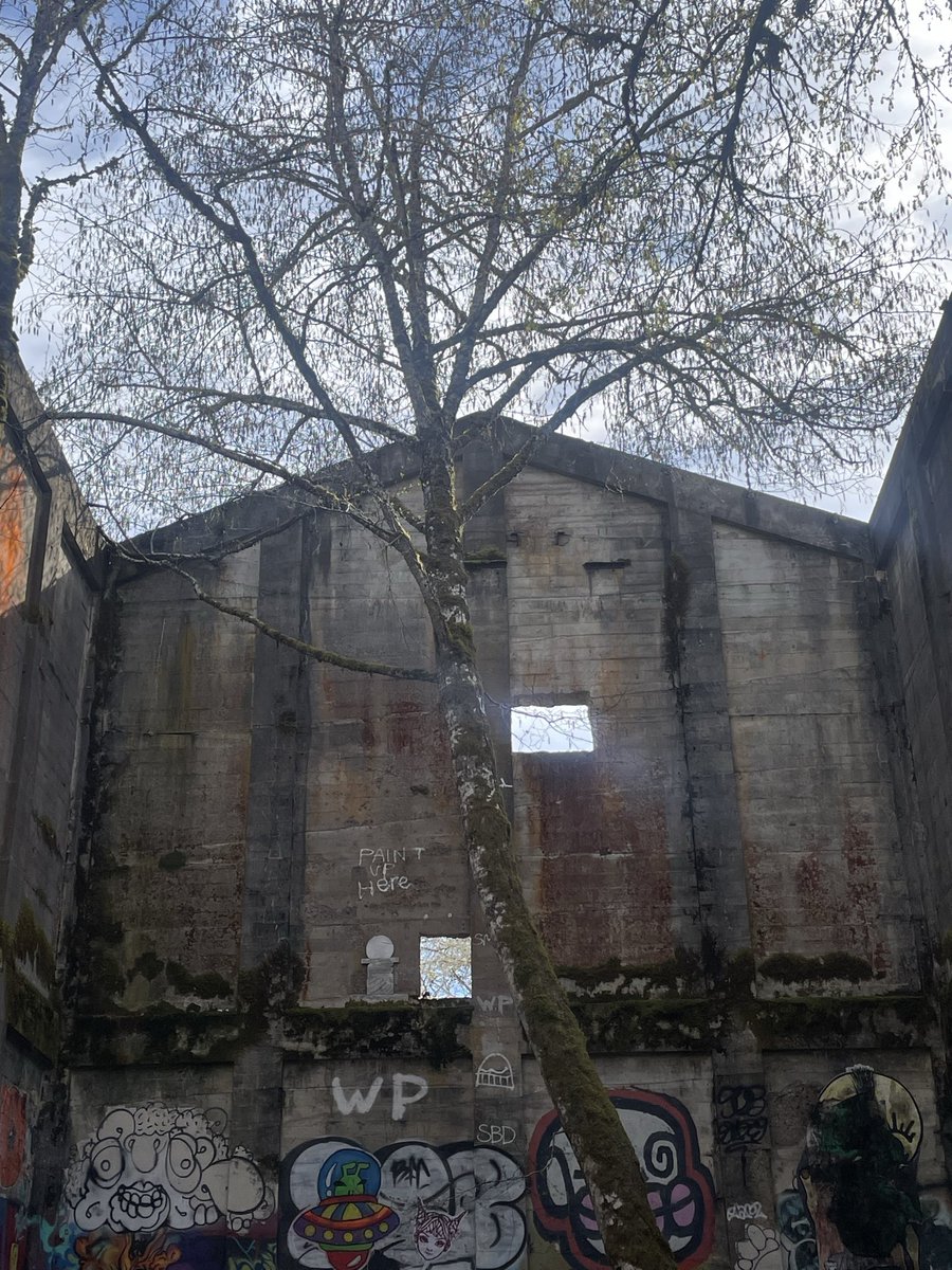 Dolly Carton tweet media