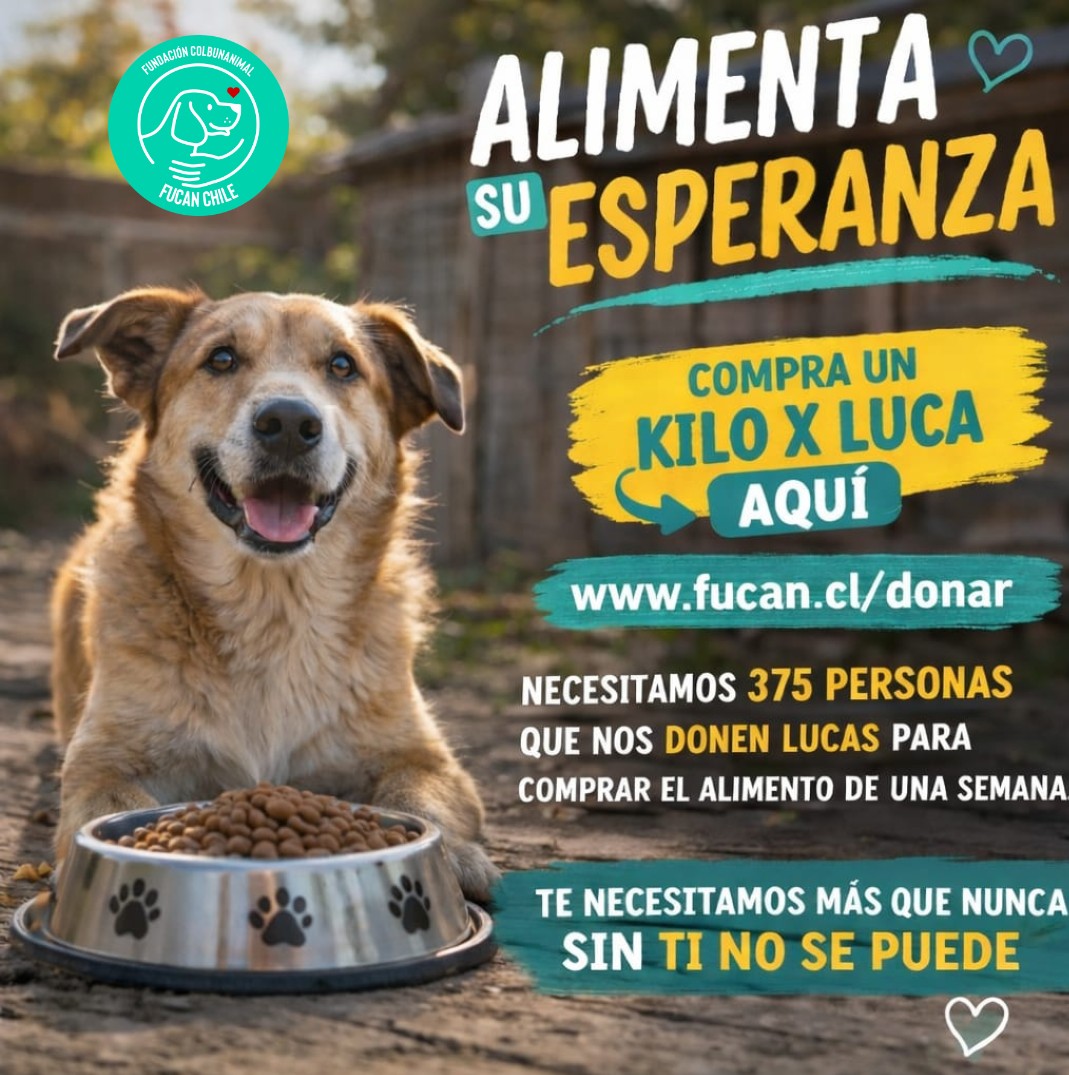 Santuariofucanchile tweet media