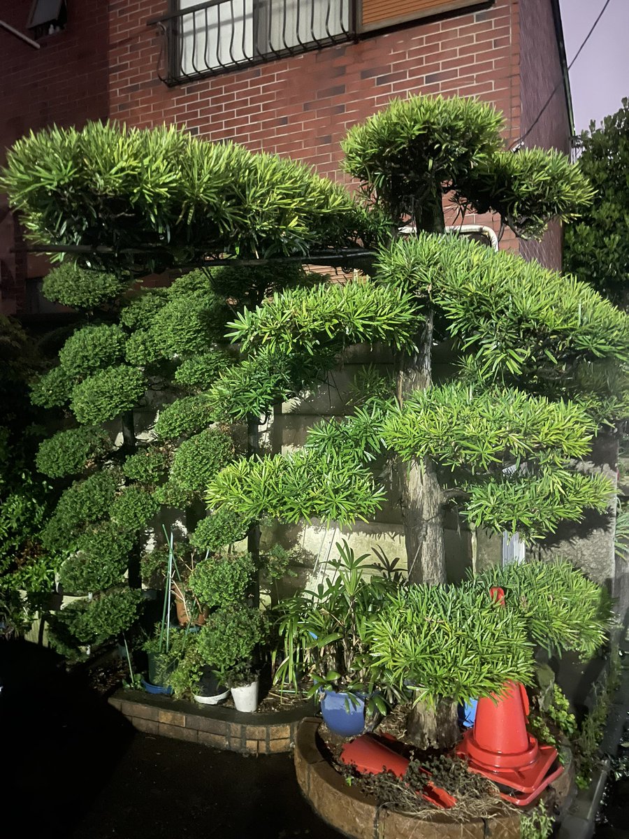 Uncle Jordy’s Burner Account tweet media