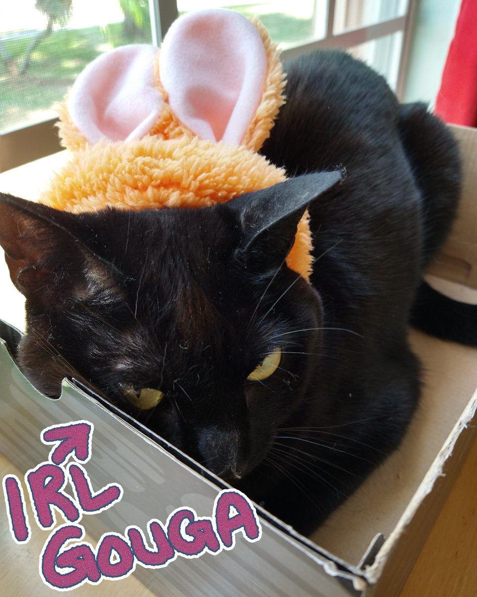 Miisu ♡.ᐟ tweet media