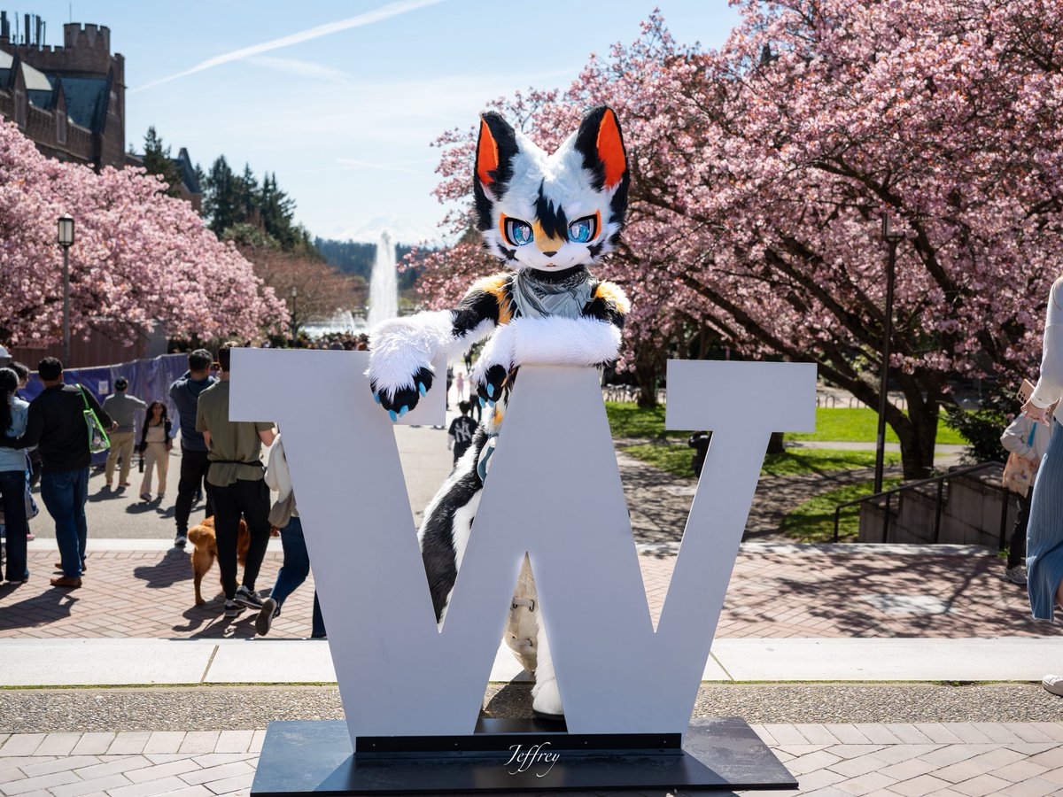 Jeffrey86334455's tweet photo. #FursuitEveryday 
欢迎报考uw
📷：@Future_Terminal 
（第一次发自己修的图.jpg） https://t.co/uFaakTWBtO