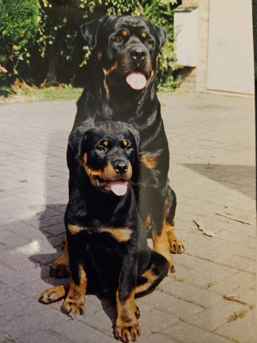 Andy LR90 🇬🇧🏴󠁧󠁢󠁥󠁮󠁧󠁿 tweet media