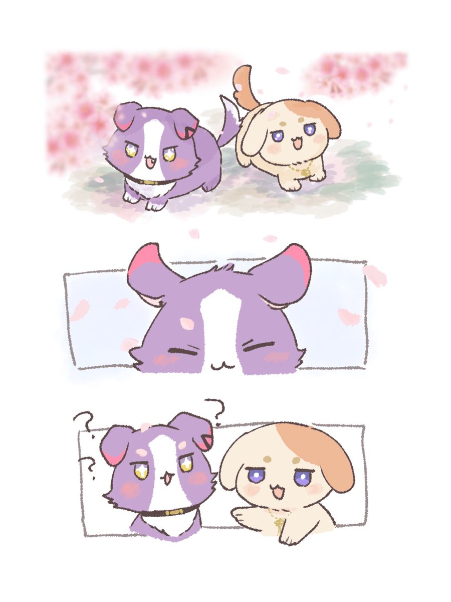 おくらちゃんさん:🌈西1-か60 tweet media