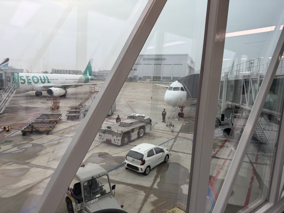 ハムyo tweet media