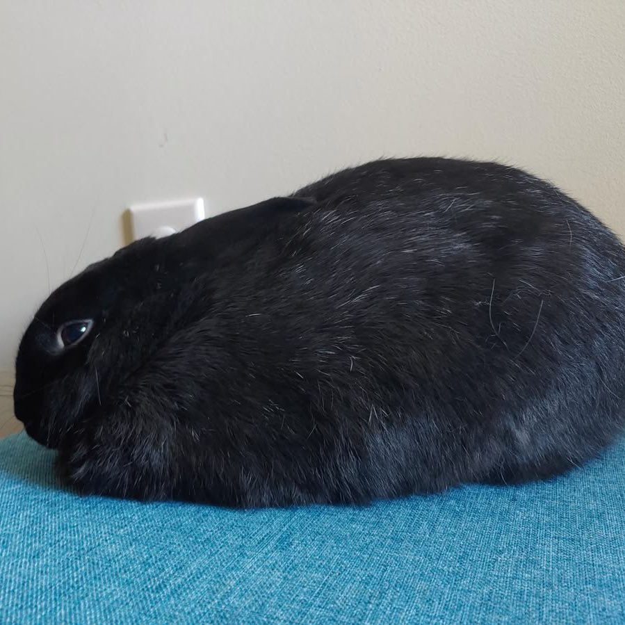 sophie ᢉ𐭩 tweet media