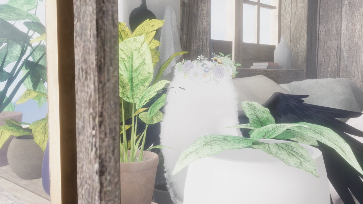 Akatsuki茶🌿 tweet media