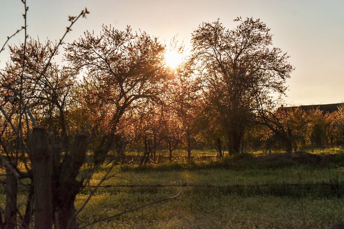 🎀 Dragica Basarić 🎀📸 tweet media