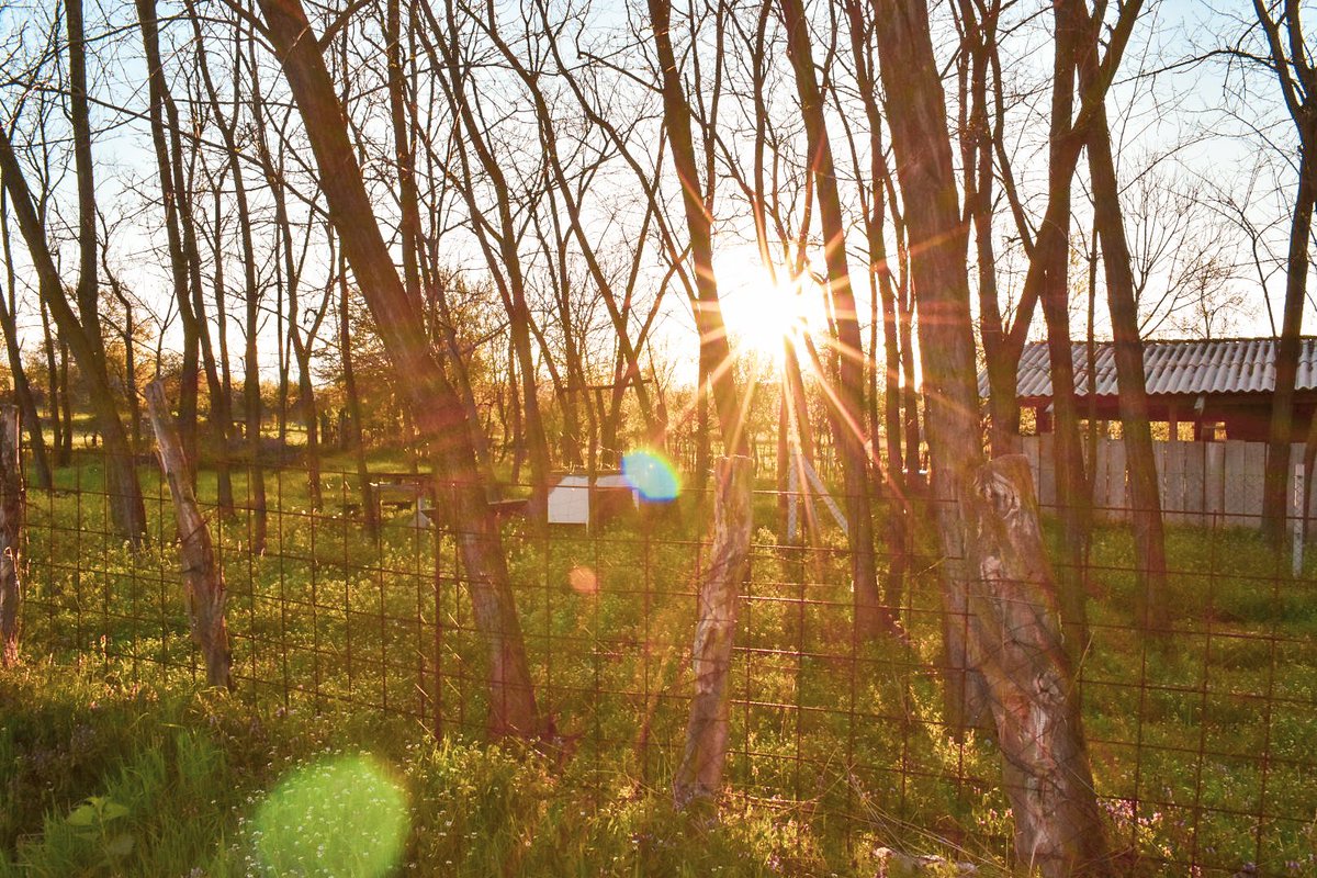 🎀 Dragica Basarić 🎀📸 tweet media