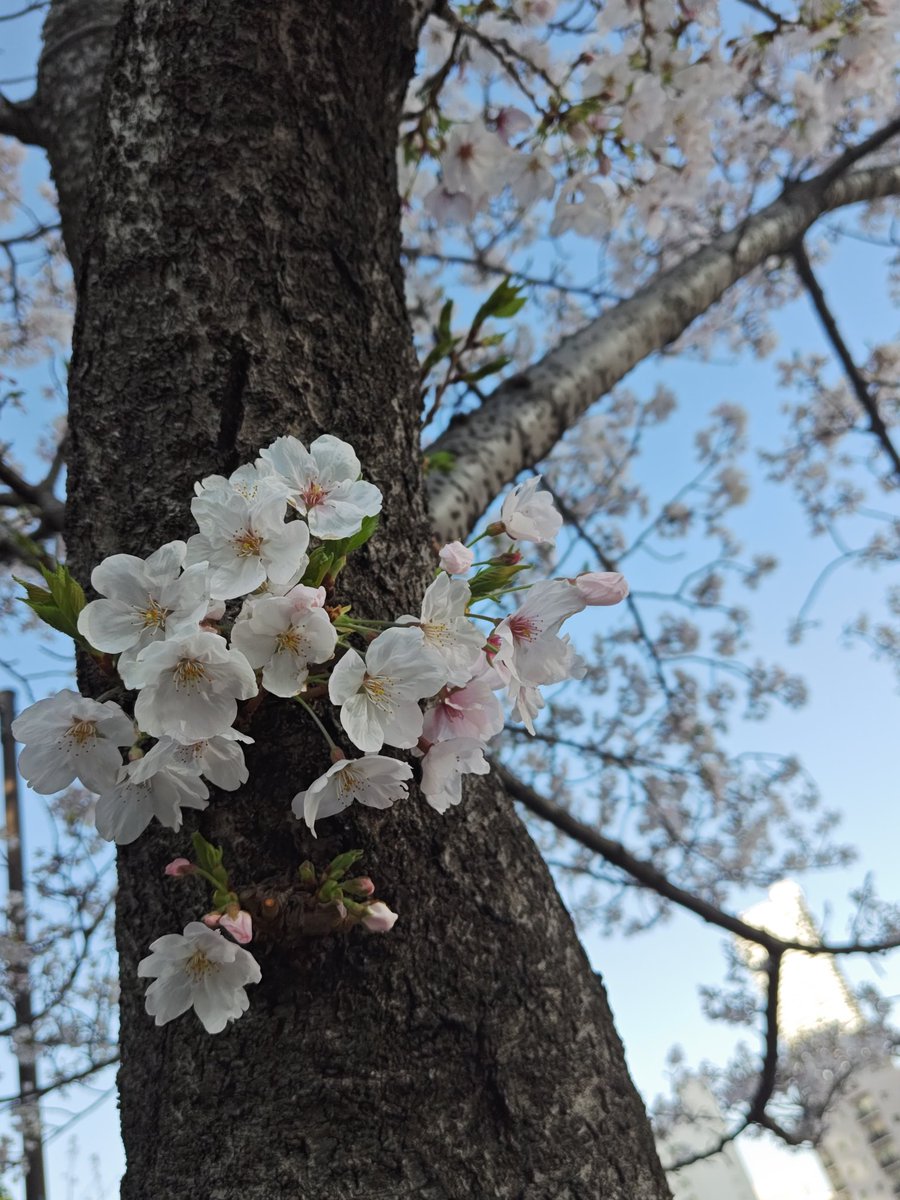 宇佐美 瞳 tweet media