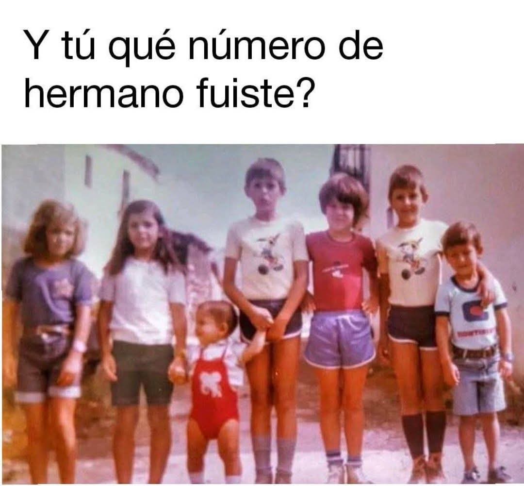 MARCELO FAVA tweet media