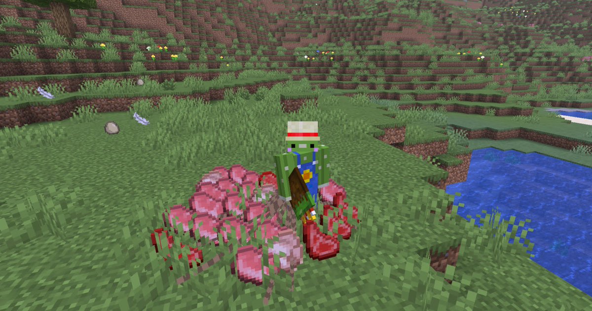 まぎー🌵 tweet media