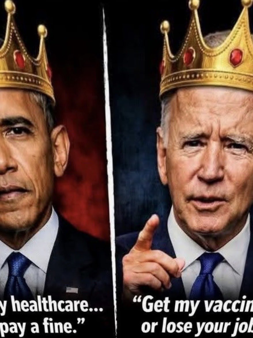 Angie Fox tweet media