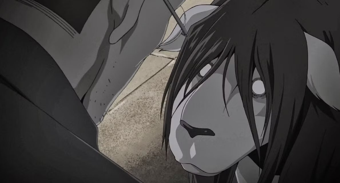 شيبليس 🤞🏻 tweet media