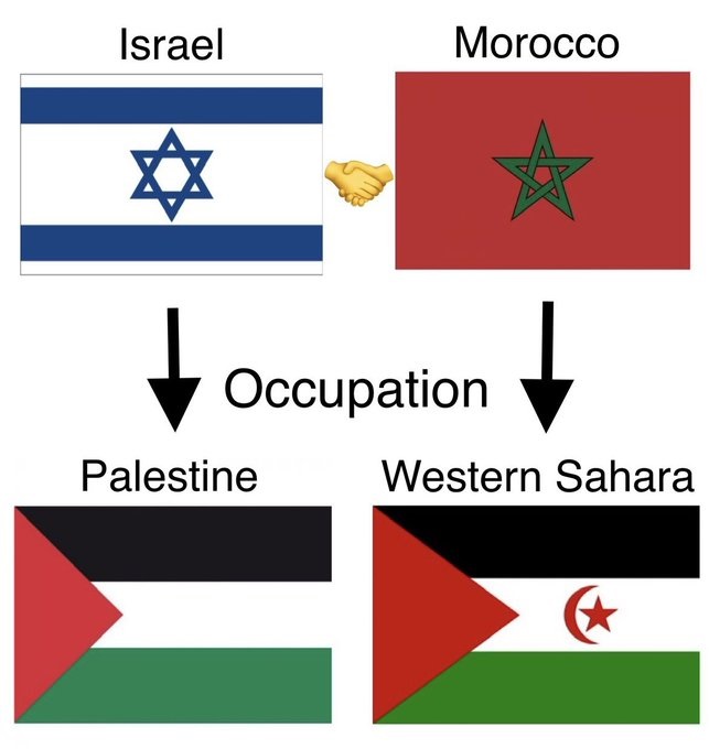 pancho darty tweet media