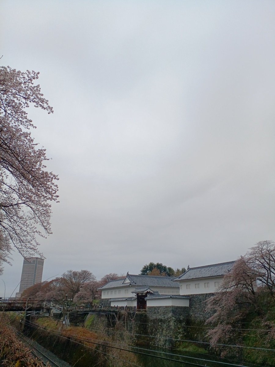 蓮ママ tweet media