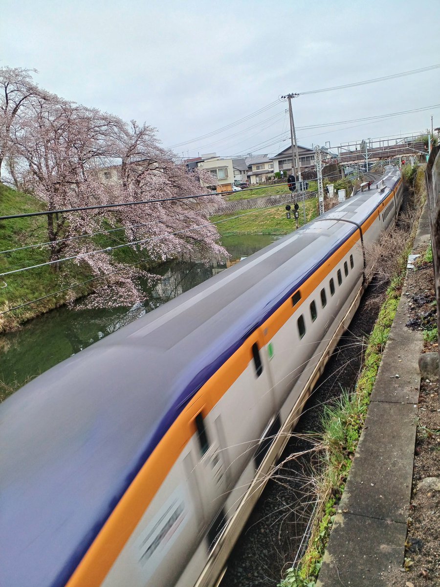 蓮ママ tweet media