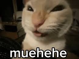 Gengar11 tweet media