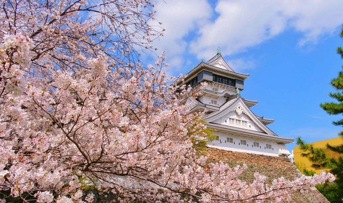 小倉城【公式】Kokura Castle🏯 tweet media