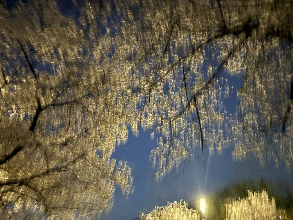 レコミ屋 tweet media