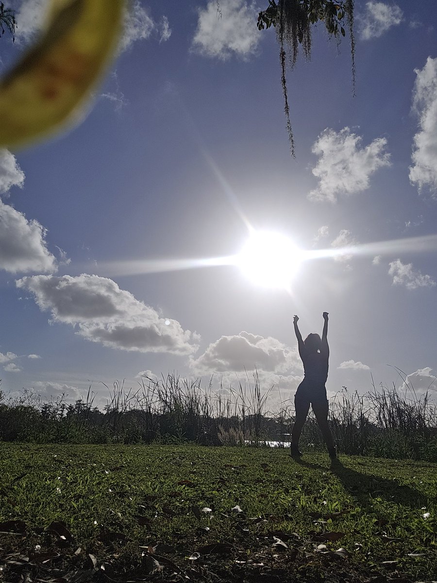 LizyShorty tweet media