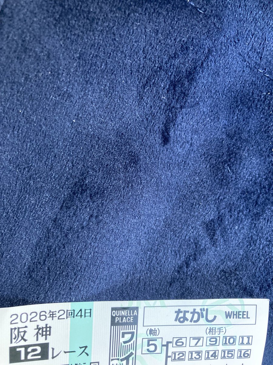 ジャコウネコ tweet media