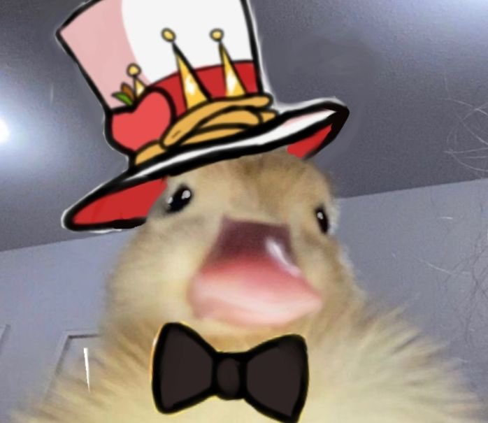 𝒮𝓊𝓅𝓇𝑒𝓂𝑒 𝒟𝓊𝒸𝓀 𝐿𝑜𝓇𝒹 tweet media