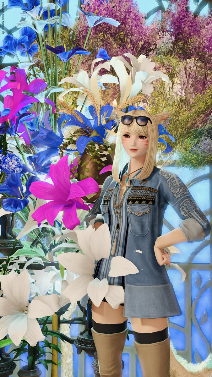 ともも🐈‍⬛🐾 tweet media