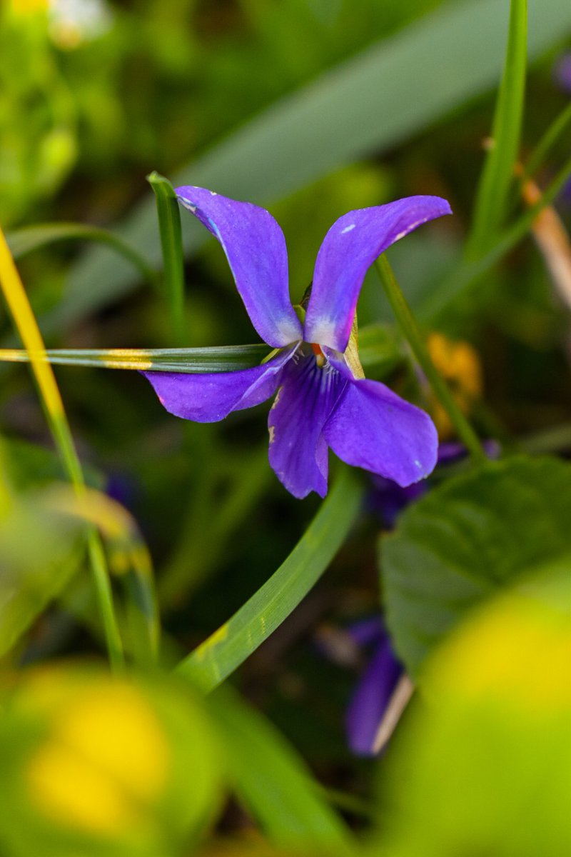 🎀 Dragica Basarić 🎀📸 tweet media