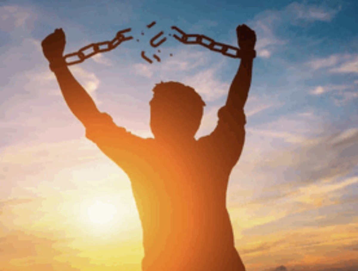 KimieChu tweet media