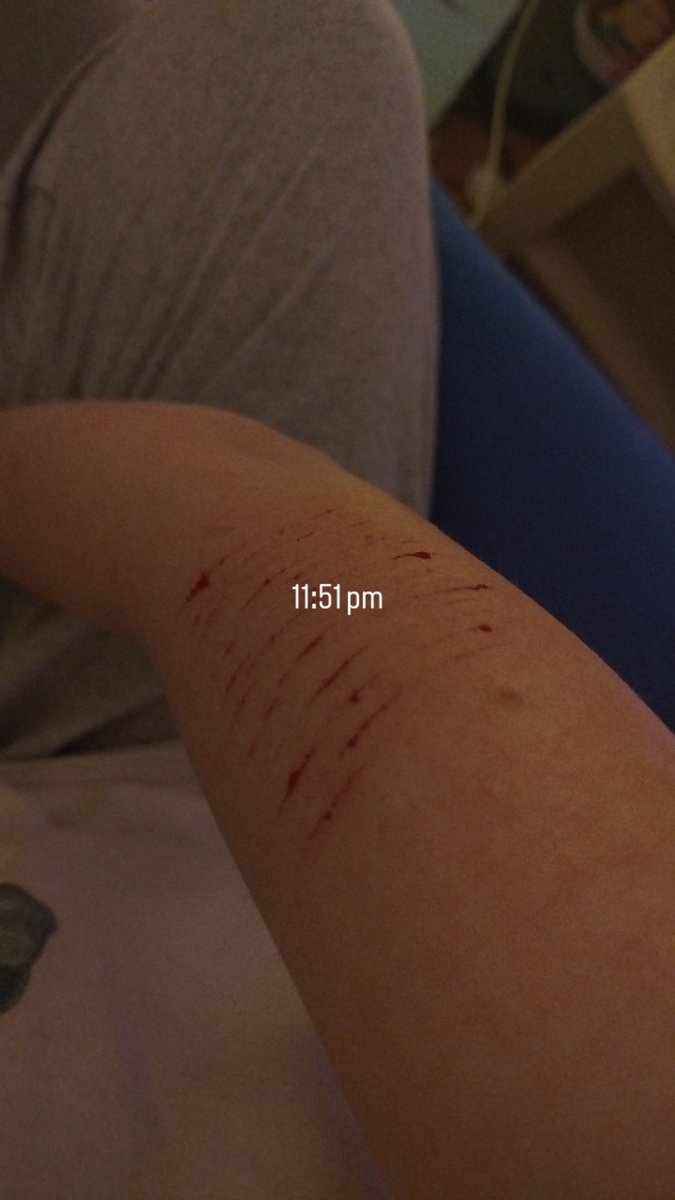 Melody 🐱🎨 tweet media