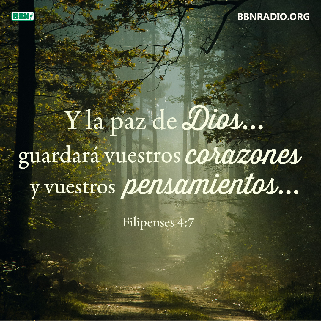 BBNEspañol tweet media