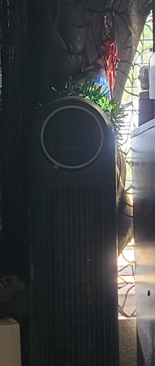 Spazzy Kenny tweet media