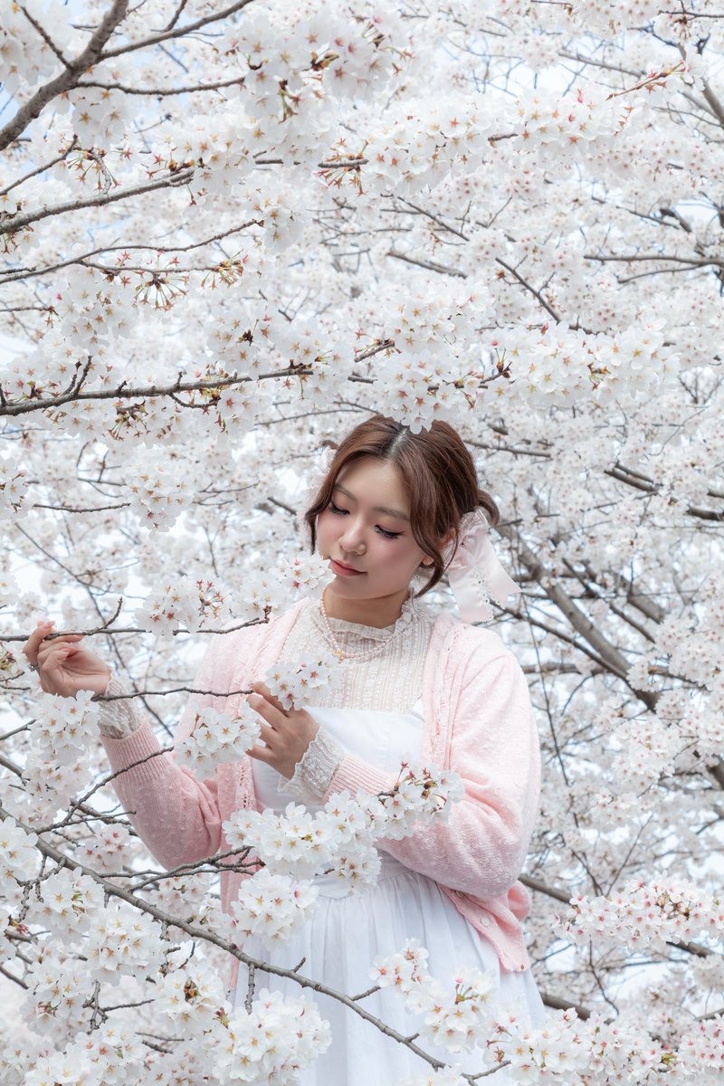 mya__nya__'s tweet photo. 🌸 https://t.co/mzWJaUjt1O