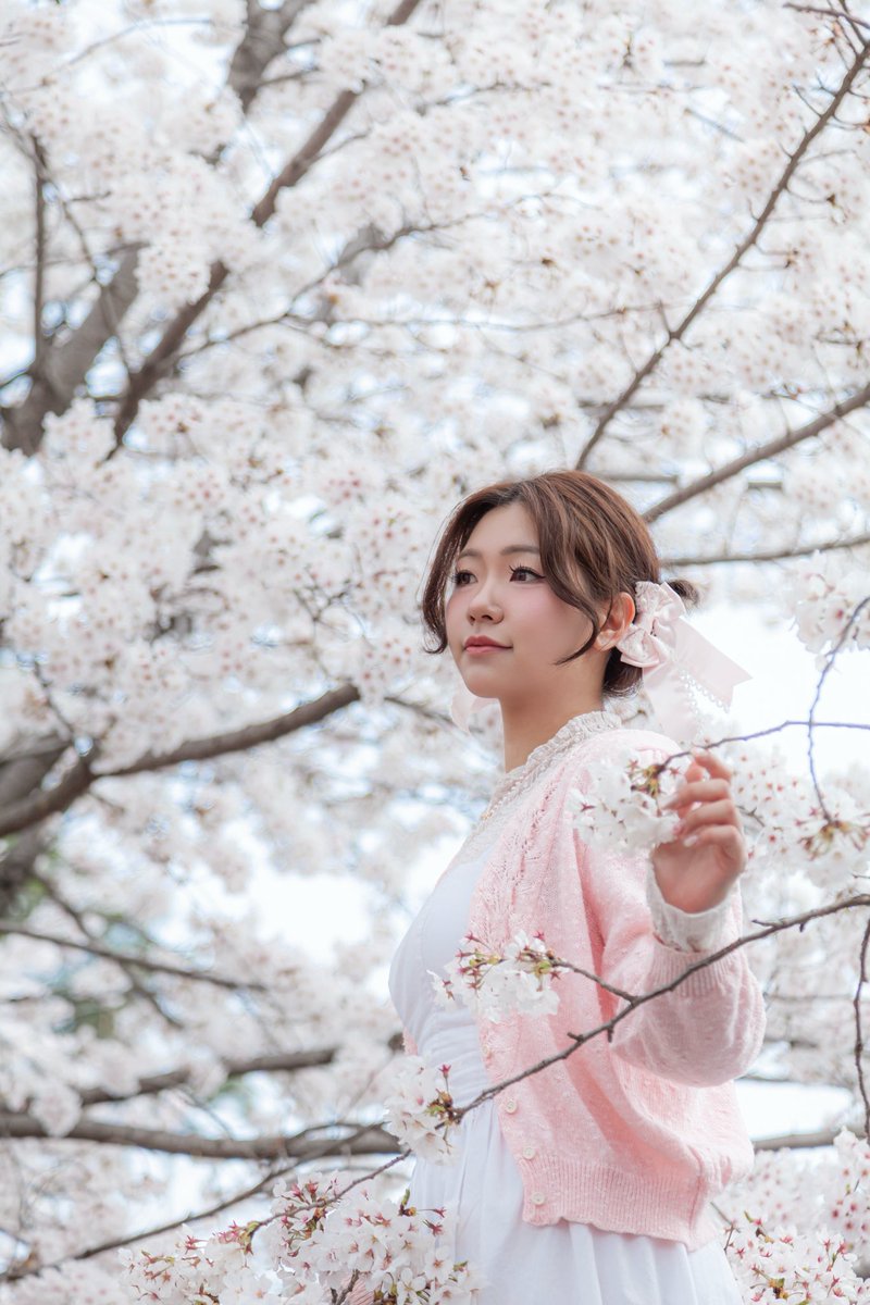 mya__nya__'s tweet photo. 🌸 https://t.co/mzWJaUjt1O