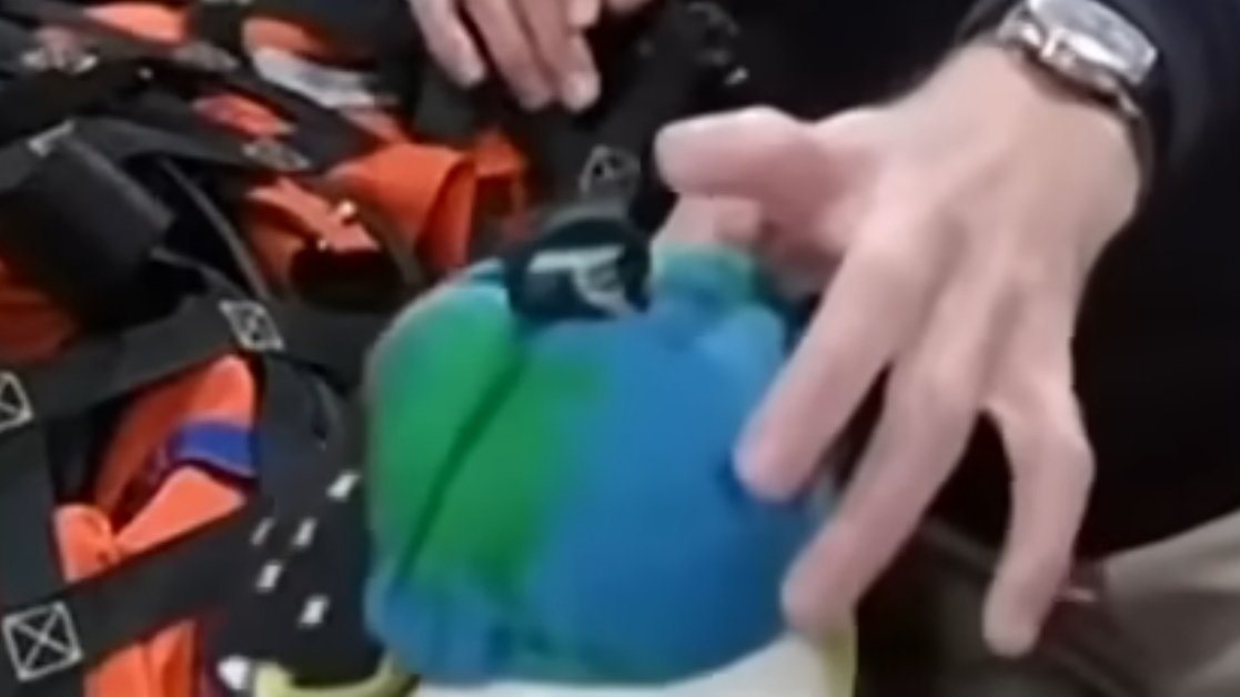 Timeline tweet media