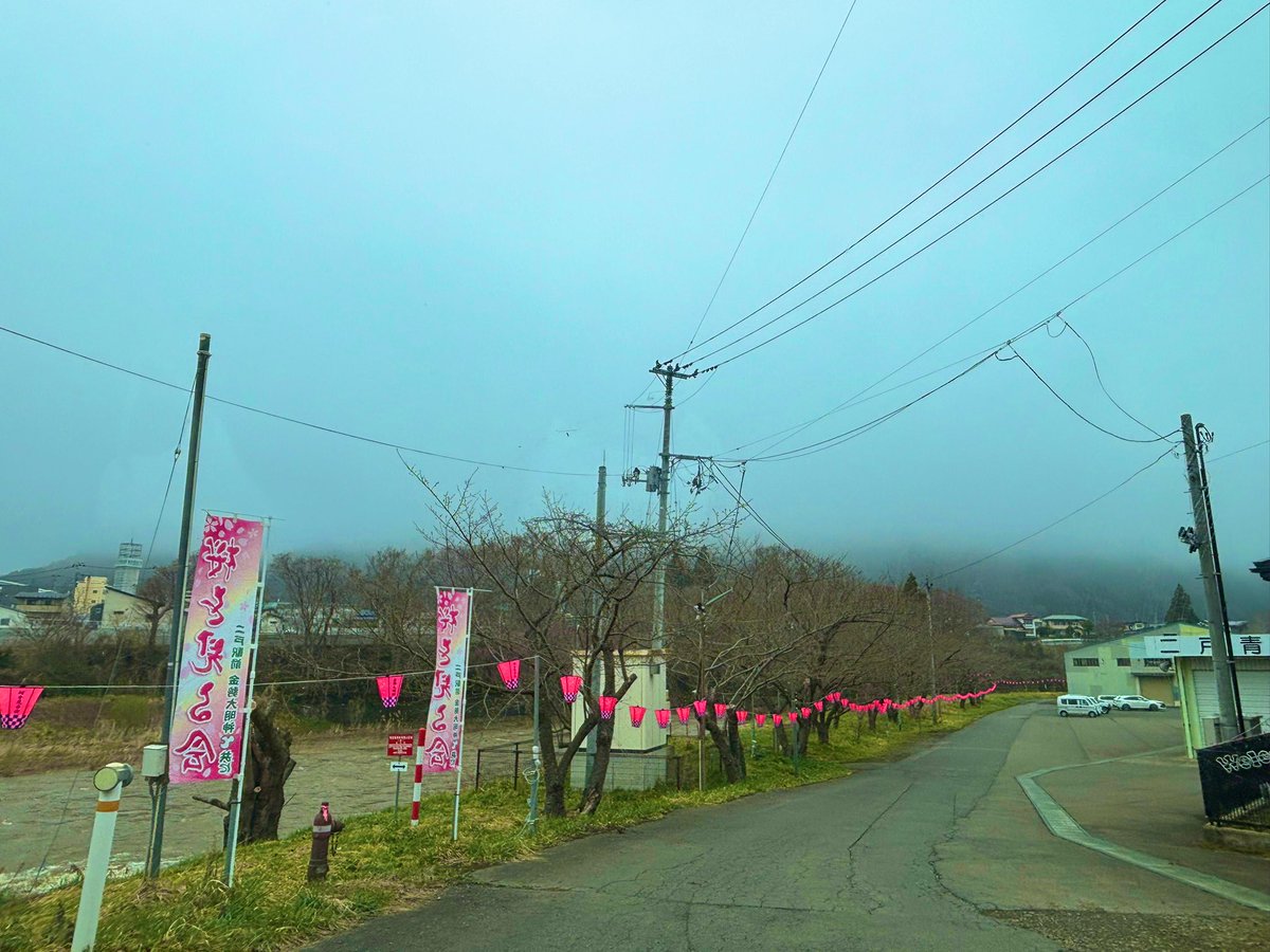 浄法寺のねこ（10月24日ニャンミ） tweet media