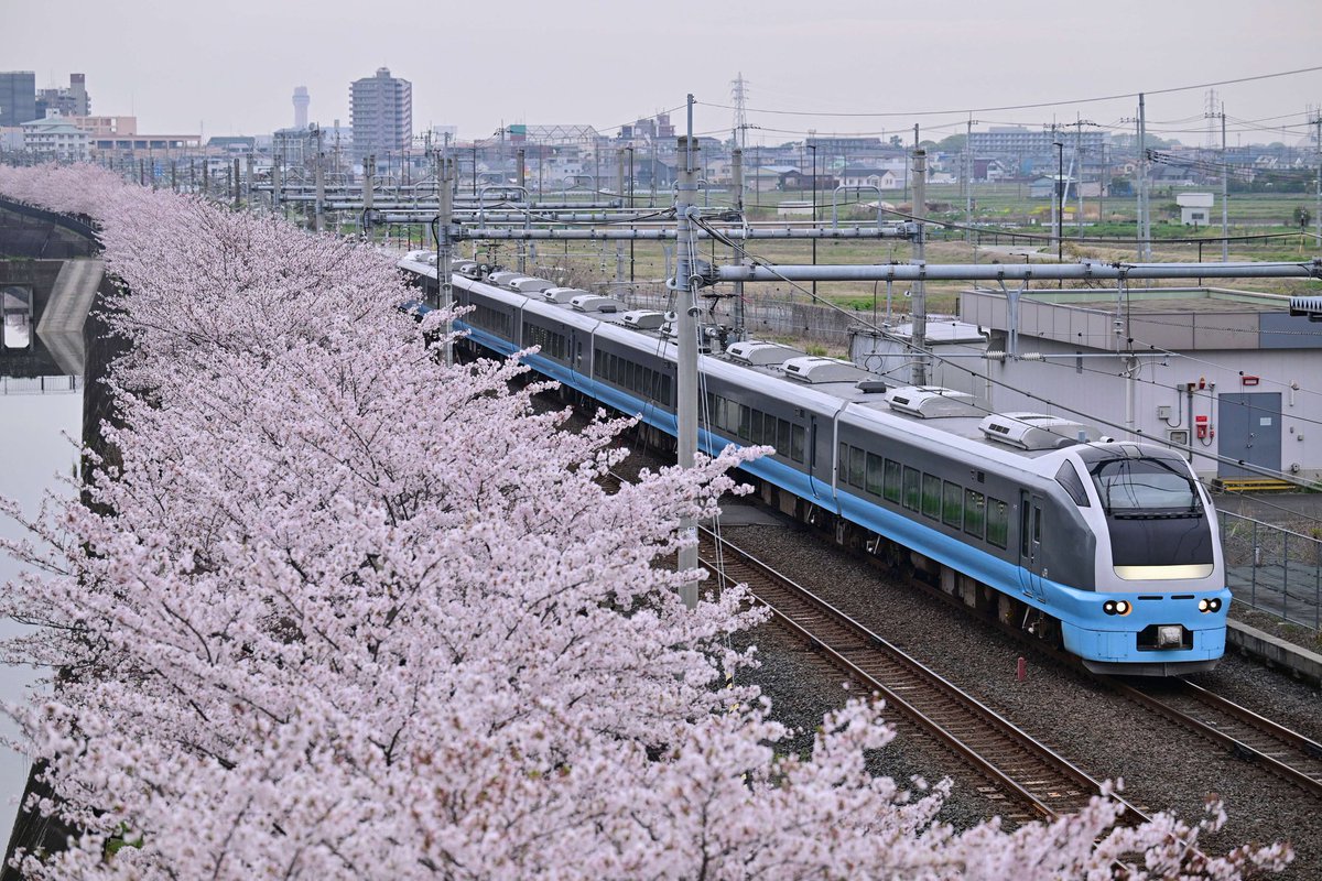 cassiopeia_ef510 tweet media