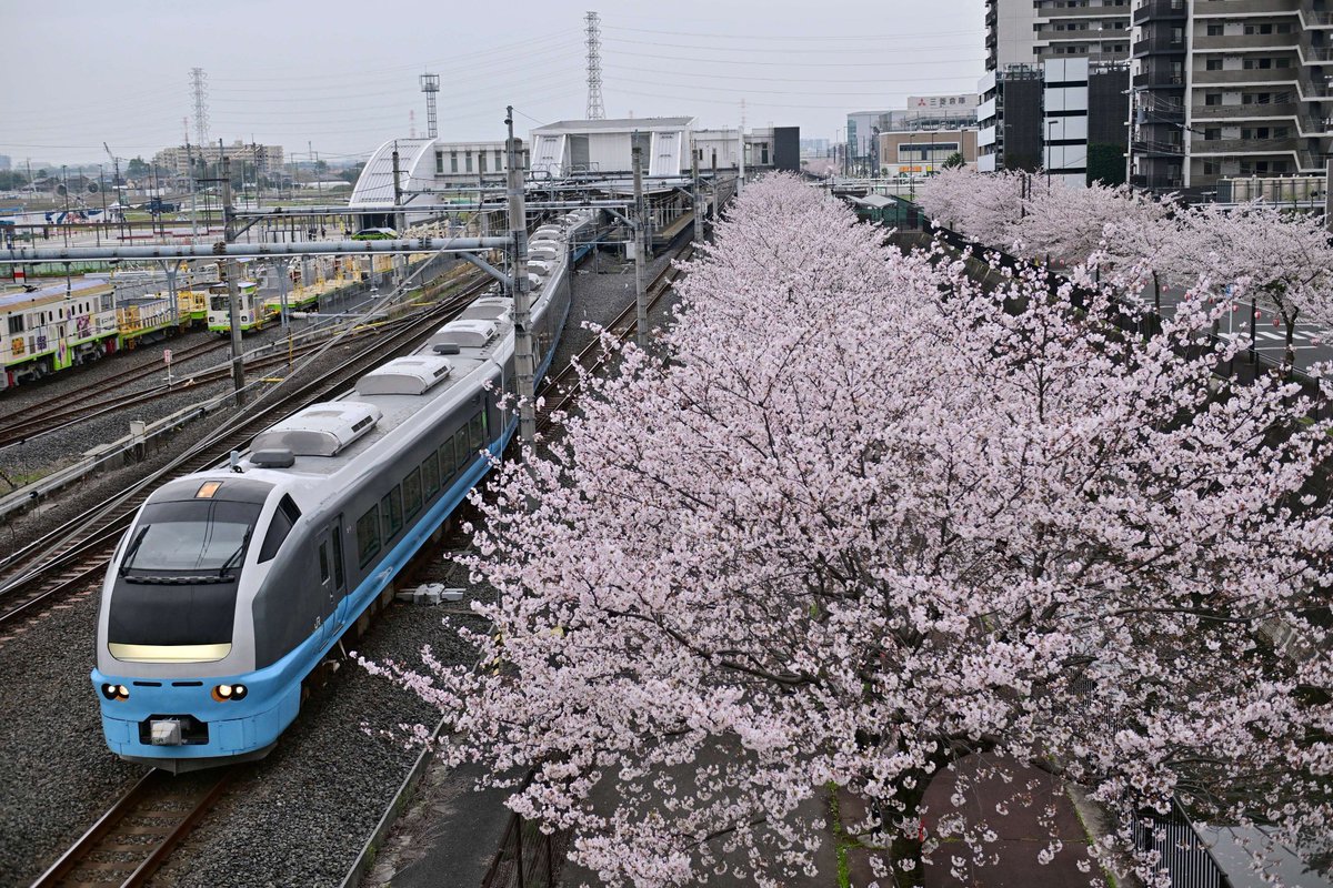 cassiopeia_ef510 tweet media