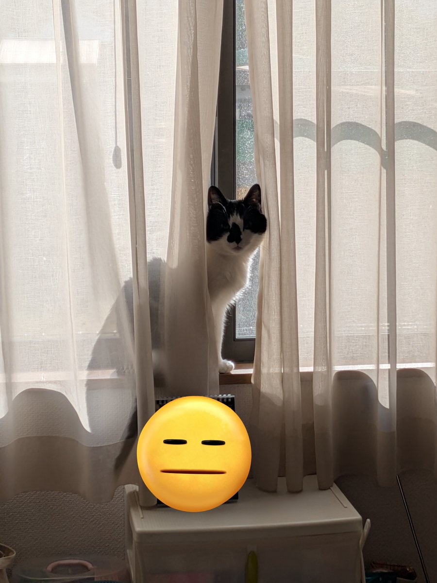 マイケル＠兵庫の彩羽真矢さんの大ファン🌱 tweet media