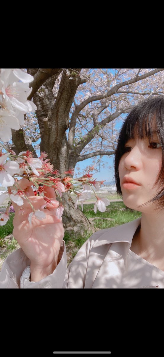 あかりん🩷🩶#和装天下 tweet media