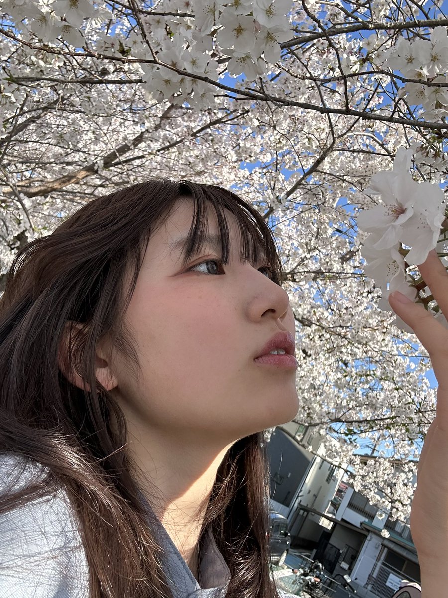 あかりん🩷🩶#和装天下 tweet media