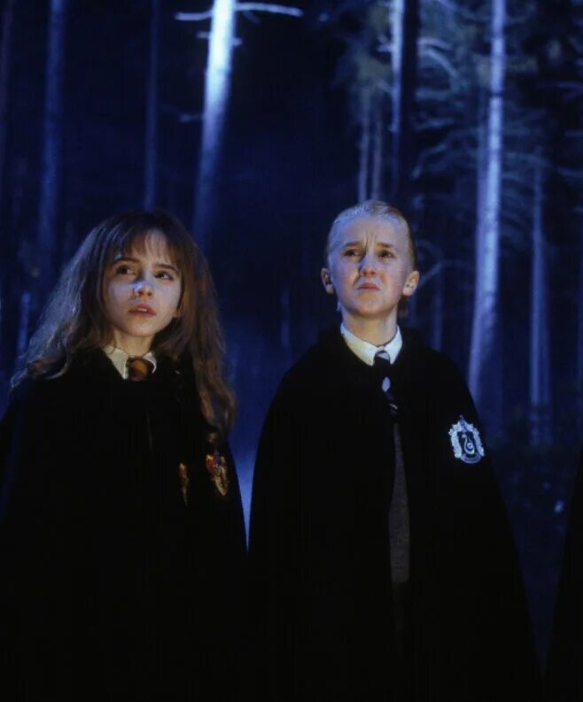 Crazy Witch tweet media