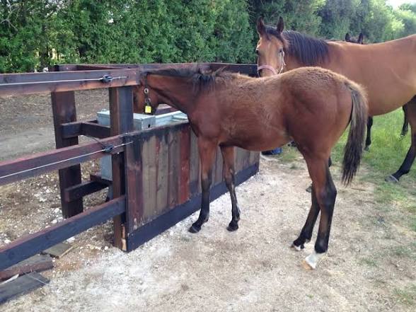 PraetorianJack tweet media