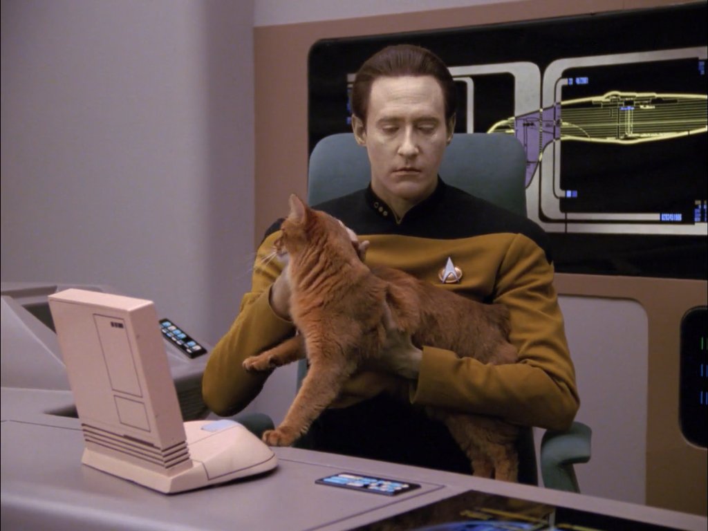 KIᗰᗷOT 🤖 tweet media