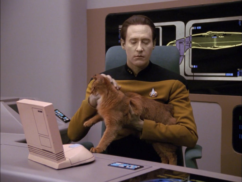 KIᗰᗷOT 🤖 tweet media